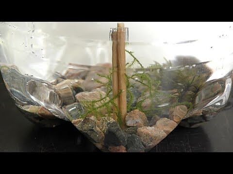 f3e27e8e726181a481fb868fb5dc0c2bhqdefault