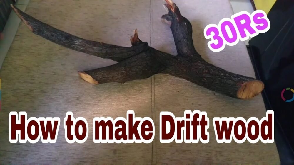 how to make driftwood diy driftwood driftwood kaise banaye hindi 23jPuxfHdGE