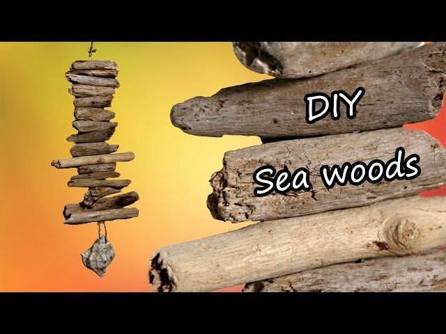 p2401 youtube thumbnail