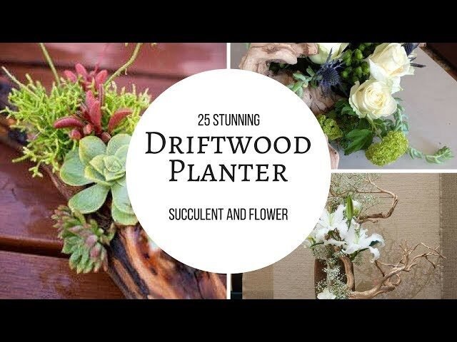 p2402 youtube thumbnail