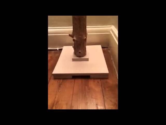 p2423 youtube thumbnail