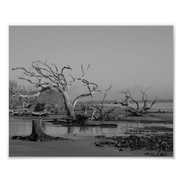 driftwood beach black and white poster re633ac19c977458da01833b662888dd3 wv8 8byvr 630