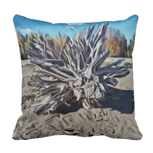 driftwood throw pillow r3ca5787e71b04532bc71adc84b508f3d 6s309 8byvr 630