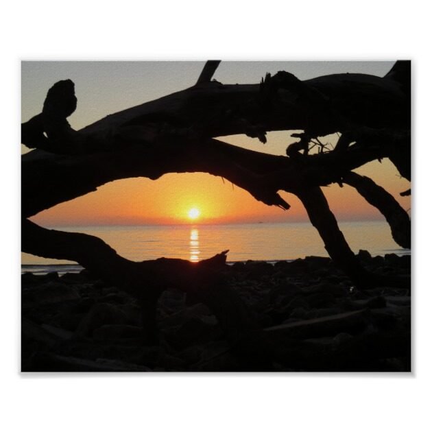 sunrise at driftwood bech poster rfc14369b9f984b51b159b054cae7448a wv8 8byvr 630