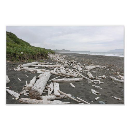 Driftwood in Kodiak Photo Print