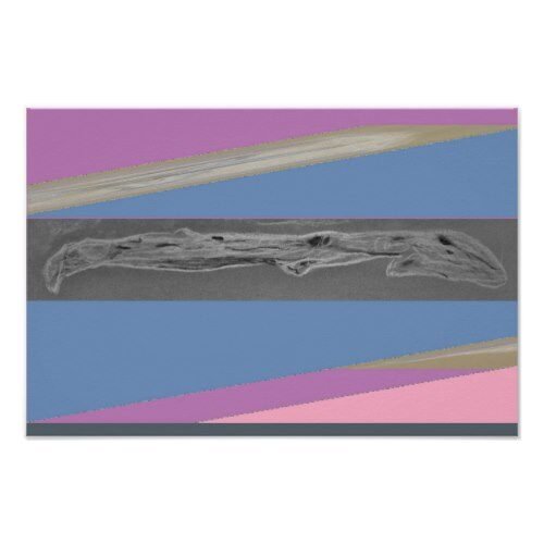 Driftwood Poster