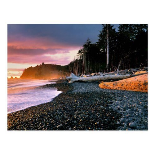 USA, Washington State, Olympic NP. Waves lap the Postcard