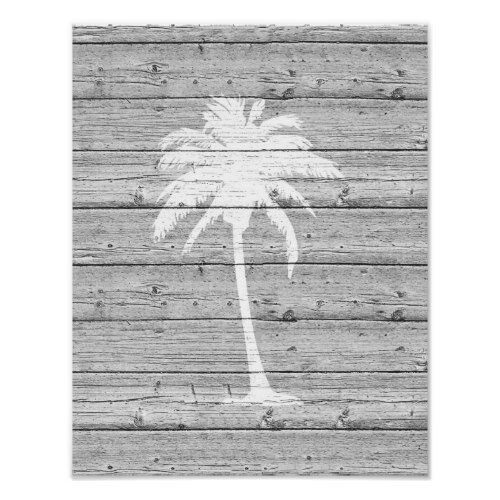 White Palm Tree on Driftwood Poster Print
