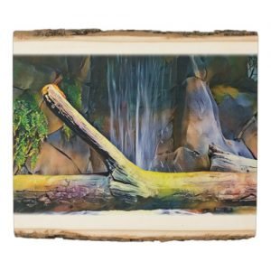 driftwood in front of waterfall artistic wall art recf1d3849367486d800bc97d6125ffee 6pnsx 500