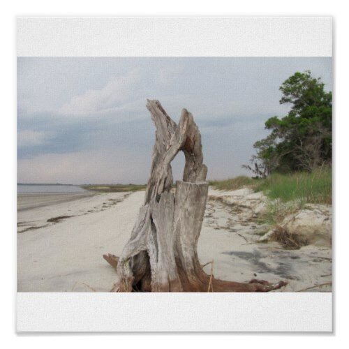 driftwood beach Print