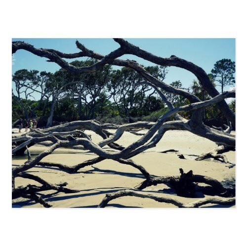 Trees on Jekyll Postcard