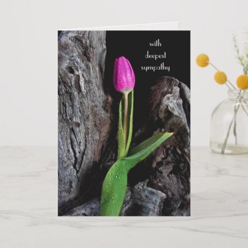 pink tulip on driftwood sympathy card