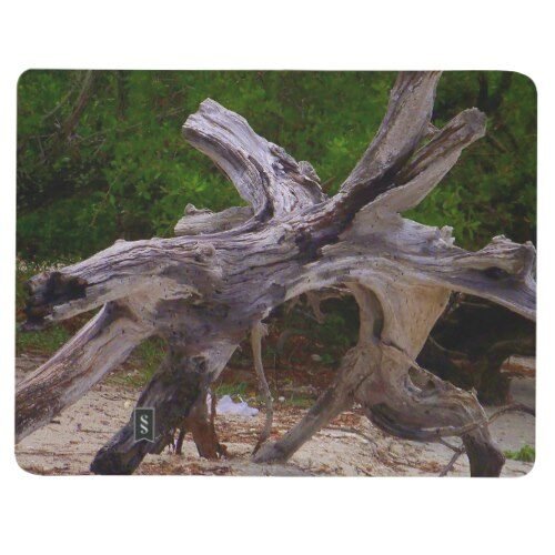 Driftwood Journal
