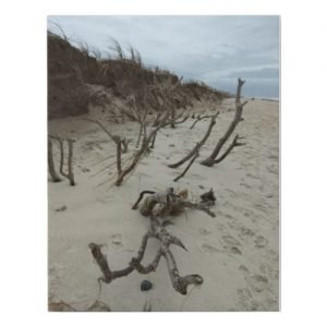 driftwood faux canvas print r69673ff76a84437491c083da575fc786 6euy8 500
