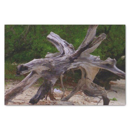driftwood tissue paper re6b1ba7aa88244bfbc43cecc70044a5e z6ltx 500