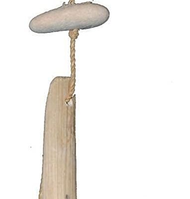 51CKOPTYIkL. AC SL1500