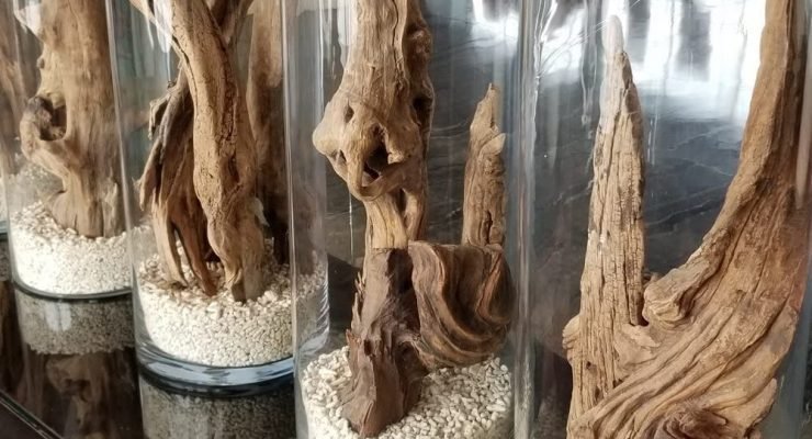 71DY 5Ly9lL. AC SL1001