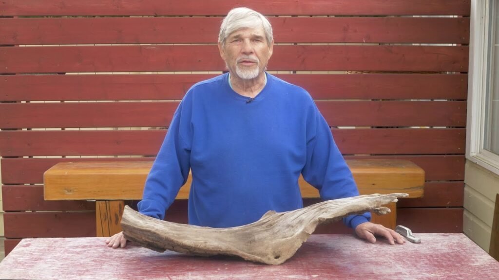 Brians Workshop - 007 (Driftwood Art) Brians Workshop - 007 (Driftwood Art)