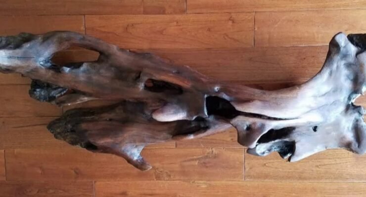 compilation of driftwood art by woodsydoc 1