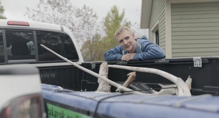 crafting unique art pieces from driftwood 1