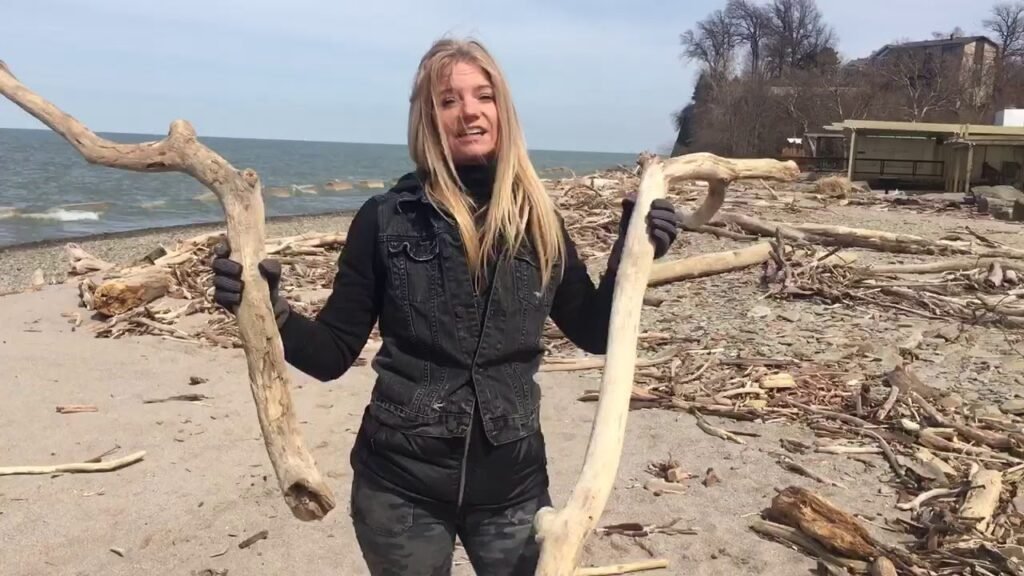 Designing Driftwood Wall Art for a Wellness-Inspired Dining Room Designing Driftwood Wall Art for a Wellness-Inspired Dining Room