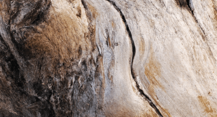 do it yourself driftwood projects 2