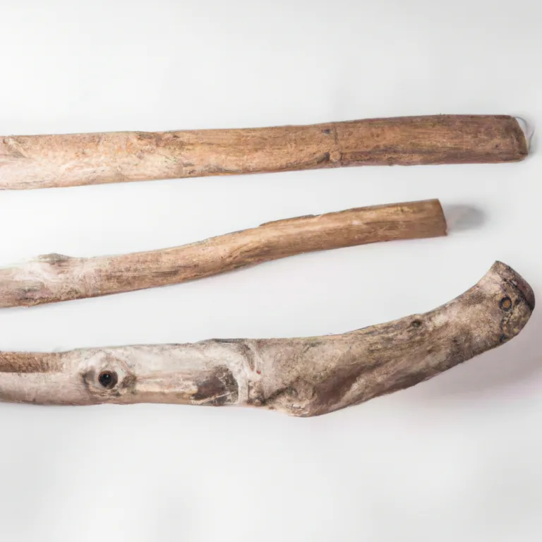 do you need to treat driftwood 2