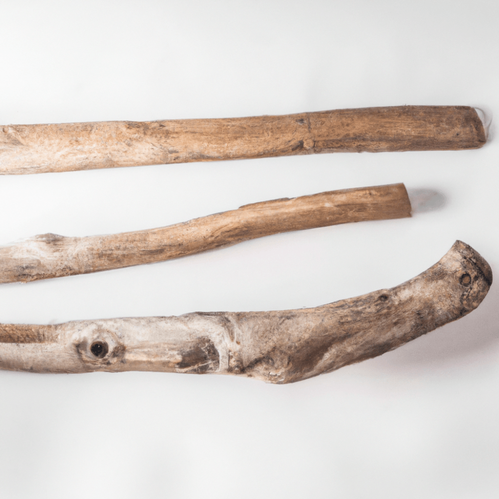 Do You Need To Treat Driftwood?