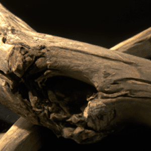 driftwood wand