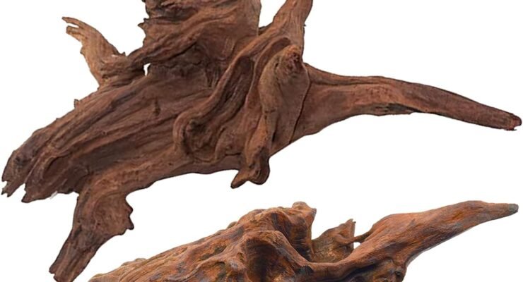 edgctyu natural driftwood review