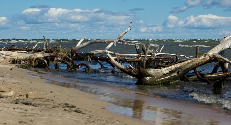 g132d82e91b5446847cff0a8b1bcb1311d9194da2ac2df371151fbaca5b4a3ca4ea6469f094a0c8a5b0bc1c6c29a20550 1280