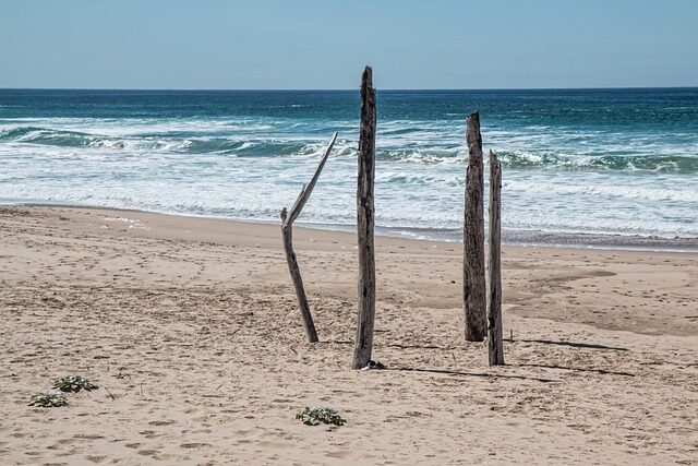 seaside, beach, alone