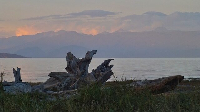 canada, nature, twilight