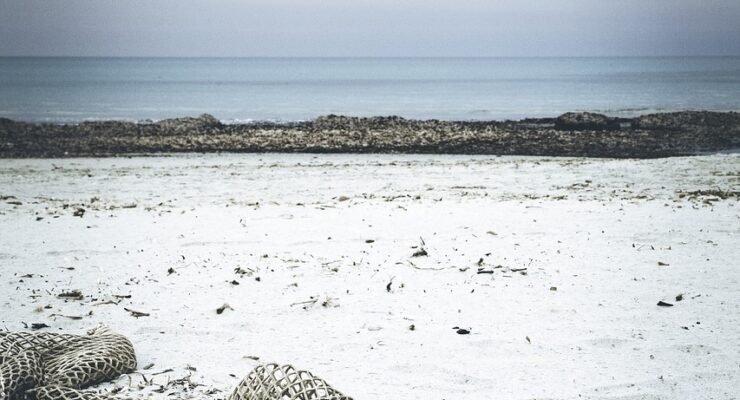 g9493cd2332af5112027ee314872a9348947bff7061fb92ef58ca29b447d7ee054efb88bf02fc15e832187a2fcdd29565 1280