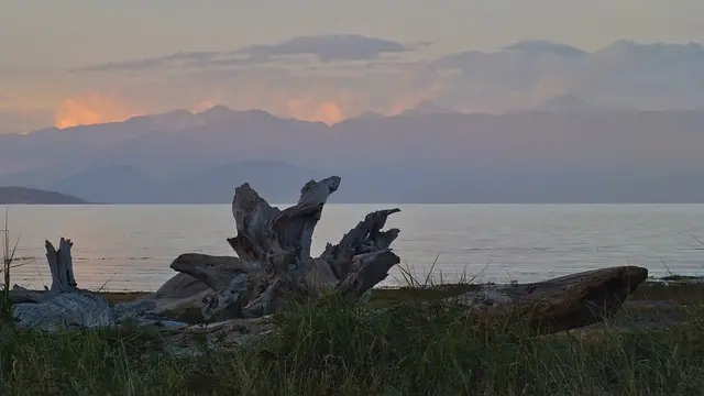 canada, nature, twilight