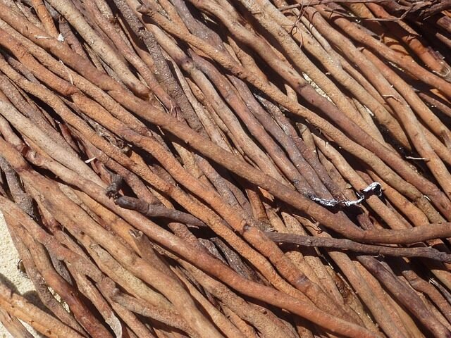 wood, root, driftwood