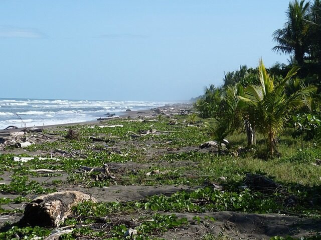 pacific, costa rica, beach
