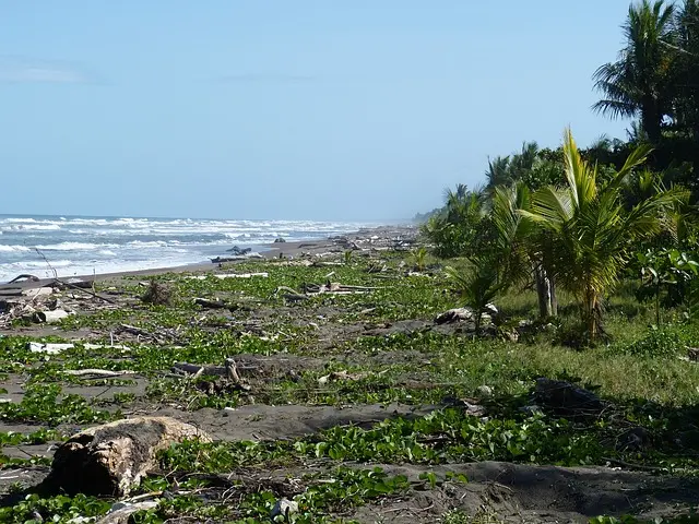 pacific, costa rica, beach