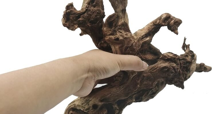 hamiledyi aquarium driftwood review