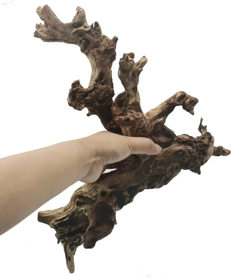 hamiledyi aquarium driftwood review