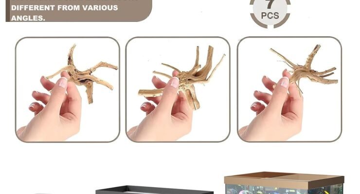 hiwzitar natural driftwood review