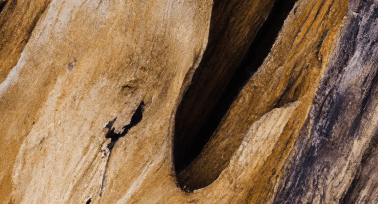 how to clean and decorate driftwood tutorial 2