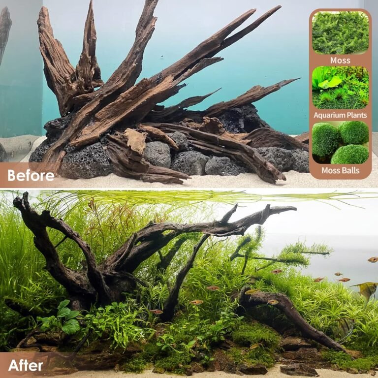 jorewoodnatural coral driftwood review