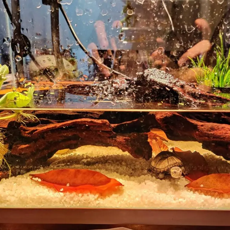 kathson driftwood aquarium decor review