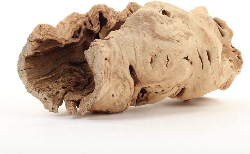 Koyal Wholesale 10 Hollow Grapewood Branch, Pack of 1, Grapewood Centerpiece Vase, Air Plants, Sand Blasted Grapewood Koyal Wholesale 10 Hollow Grapewood Branch, Pack of 1, Grapewood Centerpiece Vase, Air Plants, Sand Blasted Grapewood