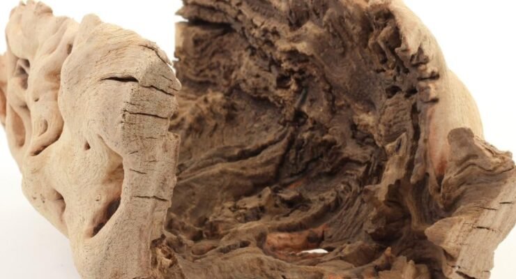 koyal wholesale 10 hollow grapewood branch review