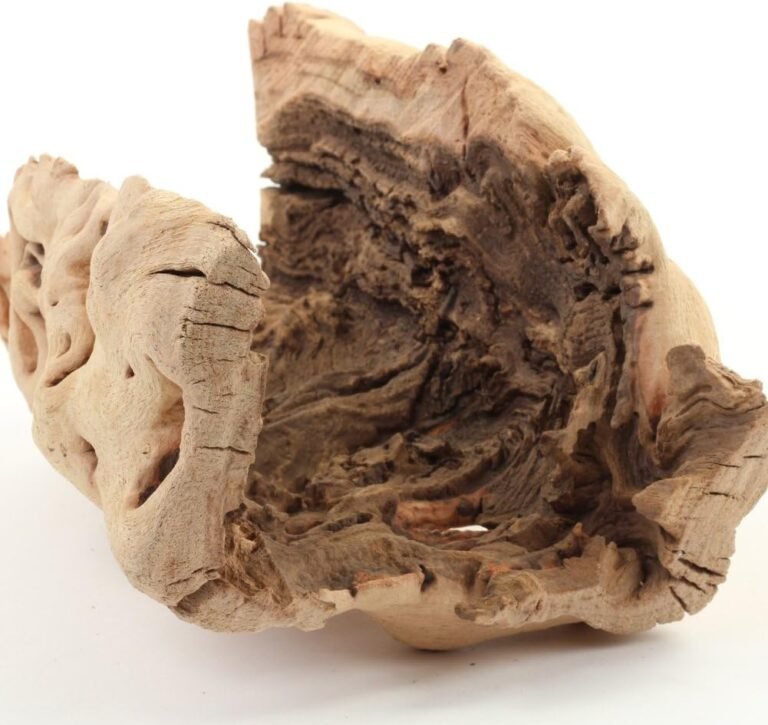 koyal wholesale 10 hollow grapewood branch review