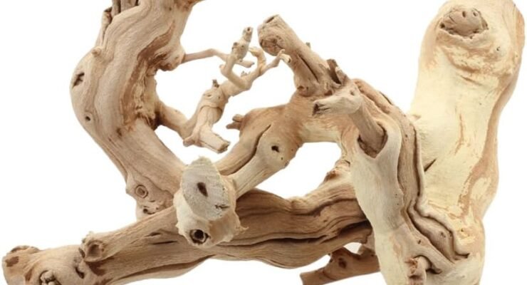 koyal wholesale grapewood branch 12 inch review