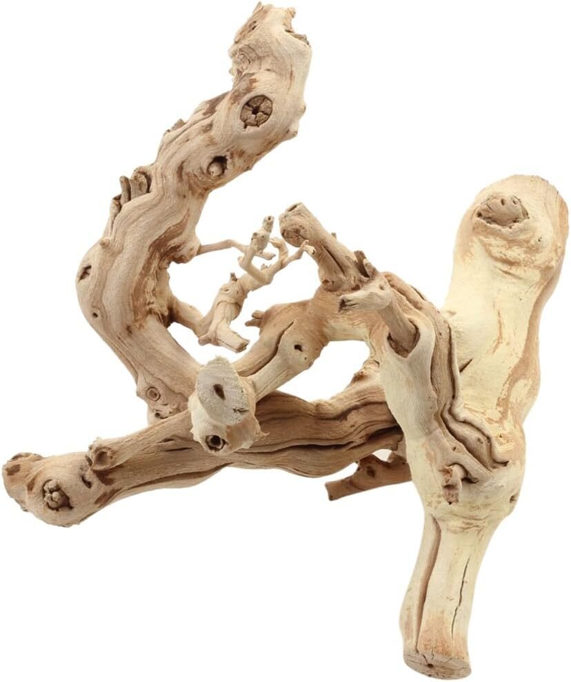 koyal wholesale grapewood branch 12 inch review