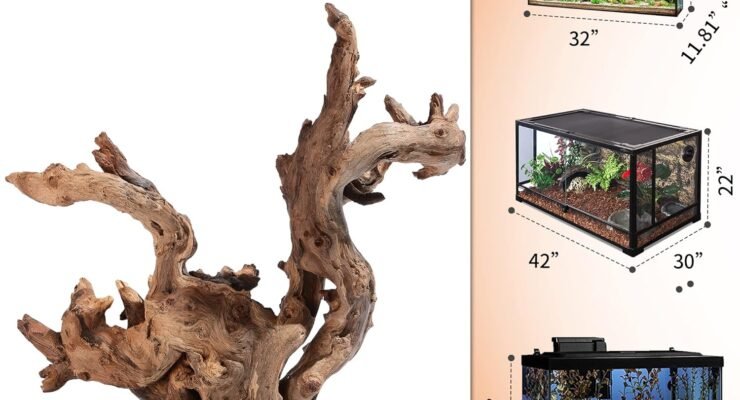 majoywoo natural small coral driftwood review